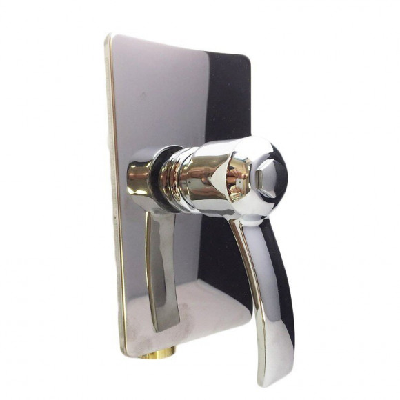 Système De Chasse D'eau Complet, Mural De 1