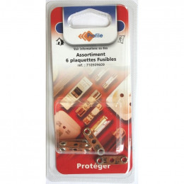 Assortiment 6 Plaquettes Fusibles