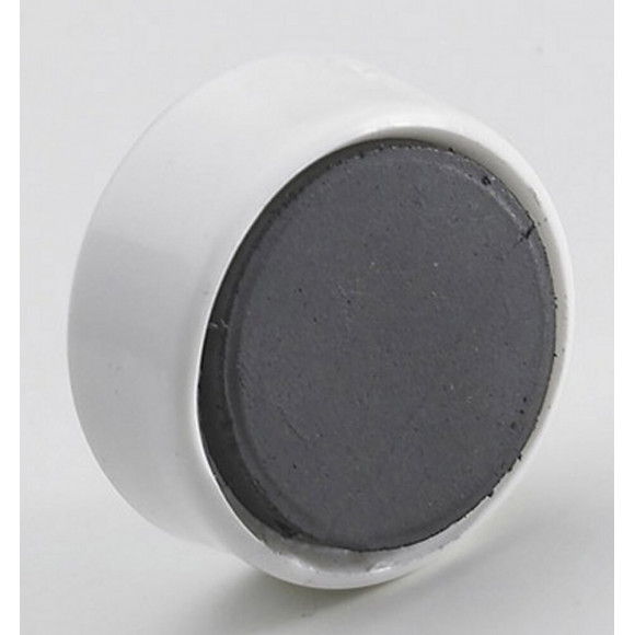 Lot De 4 Aimants Magnétiques Plastique Hettich, L.25 X Diam.25 Mm