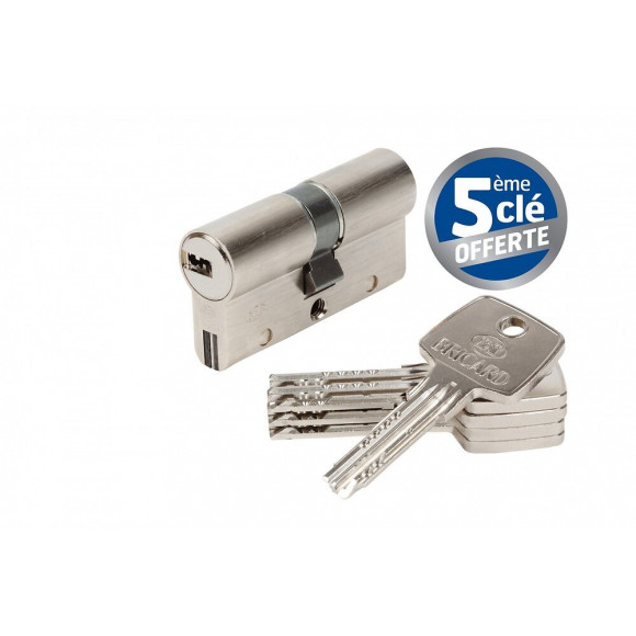 Cylindre De Serrure Bricard Trial S Débrayable L.30 + 30 Mm