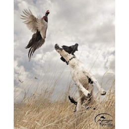 Sportdog Collier De Dressage 1200 M - Pour Chien