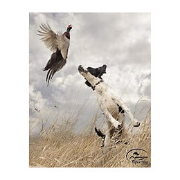 Sportdog Collier De Dressage 1200 M - Pour Chien