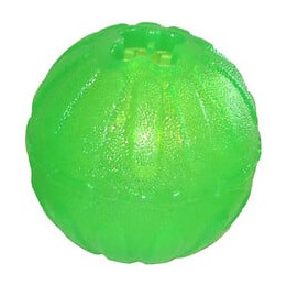 Everlasting Fun Balle Pour Chien O 7cm M