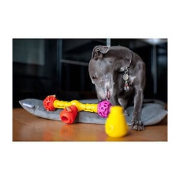 Extension De 2 Pieces K9 Connectables Mini - Orange/jaune