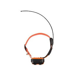 Collier Seul Canicom Gps Numaxes - 2-en-1 : Localisation Gps + Education Longue Portee