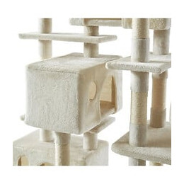 Beau Rivage Simba Grand Arbre A Chat