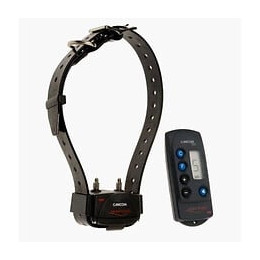 Ensemble Dressage A Distance Canicom 200