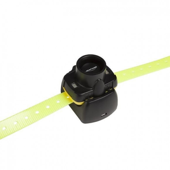 Collier De Reperage Sonore Canibeep 5