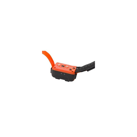 Collier Seul Canicom Gps Numaxes - 2-en-1 : Localisation Gps + Education Longue Portee