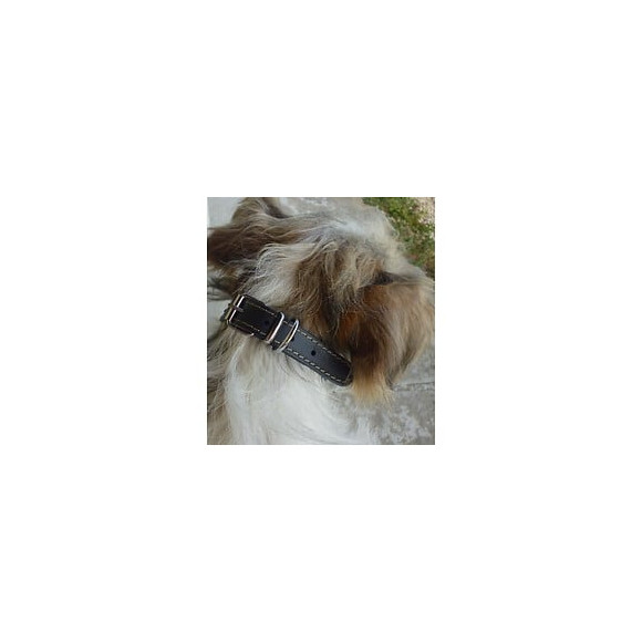 Yago Collier En Cuir Souple Et Reglable Pour Moyen Chien, Taille M 34-40cm, Coloris Noir