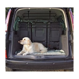 Grille Pour Automobile