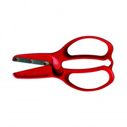 Ciseaux Enfants Premier Âge +/- 2 Ans