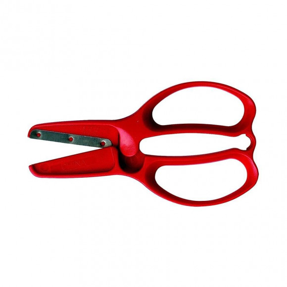 Ciseaux Enfants Premier Âge +/- 2 Ans