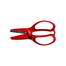 Ciseaux Enfants Premier Âge +/- 2 Ans