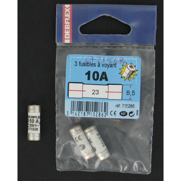 Lot De 3 Fusibles Céramique 10 A, 8.5 X 23 Mm