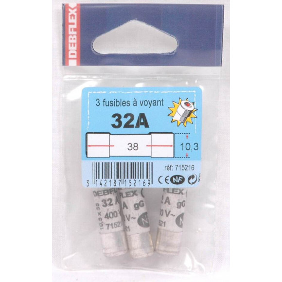 Lot De 3 Fusibles Céramique 32 A, 10.3 X 38 Mm
