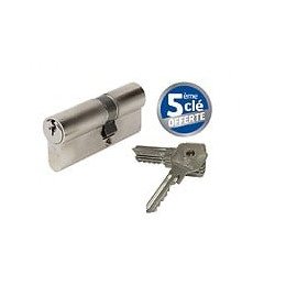 Cylindre De Serrure Bricard Alpha L.30 + 40 Mm