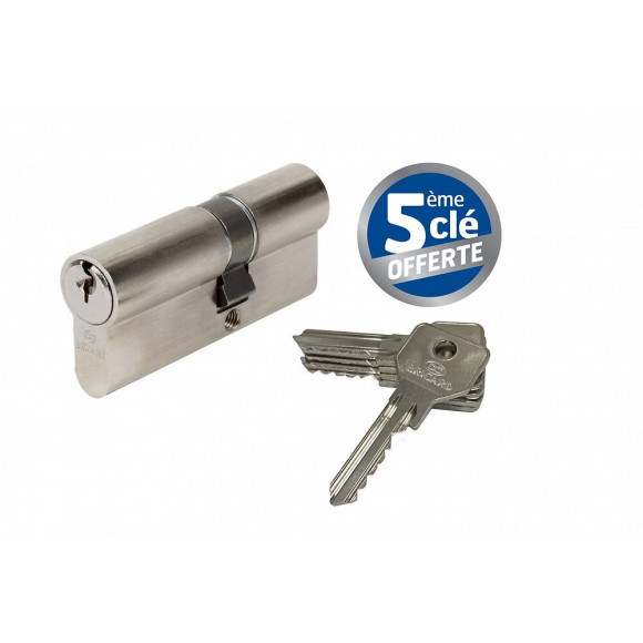 Cylindre De Serrure Bricard Alpha Débrayable L.30 + 40 Mm