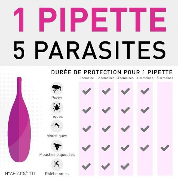 Frontline Tri-act 2-5kg - 6 Pipettes