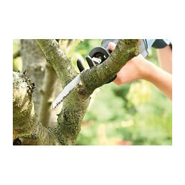 Lames De Scies Sabre  1/2" 205mm Sb Kwb