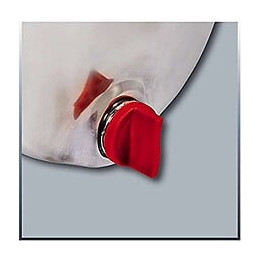 Pompe De Transfert Gc-gp 1250 N Einhell