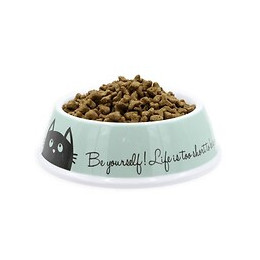 Aime Gamelle En Melamine Antiderapant - 10 Cm - 200 Ml - Pour Chat Et Petit Chien