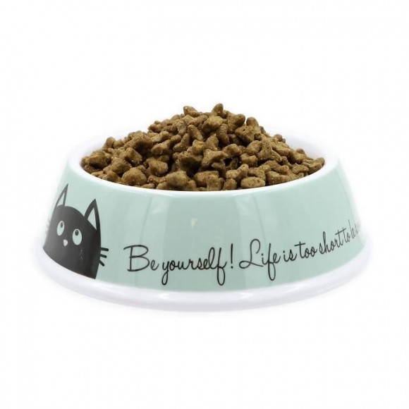Aime Gamelle En Melamine Antiderapant - 10 Cm - 200 Ml - Pour Chat Et Petit Chien