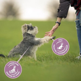 Eukanuba Croquettes Au Poulet - Race Moyenne - 3kg - Pour Chiot