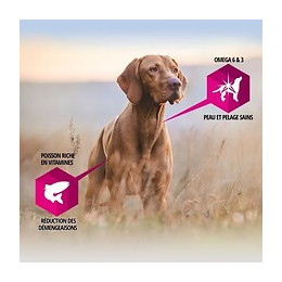 Eukanuba Croquettes Au Poulet Daily Care - Peau Sensible - Toutes Races - 2,3kg - Pour Chien Adulte