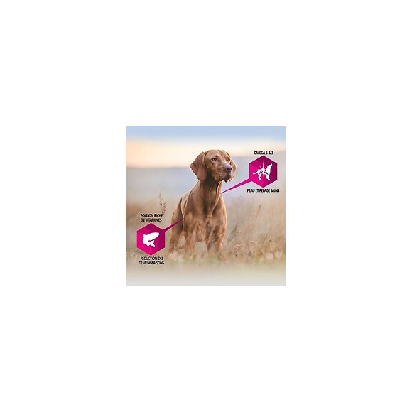 Eukanuba Croquettes Au Poulet Daily Care - Peau Sensible - Toutes Races - 2,3kg - Pour Chien Adulte