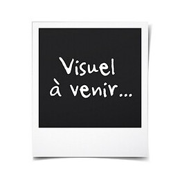 Pro Plan Lot De 4 Biscuits Friandises Au Poulet - 400 G - Pour Chien