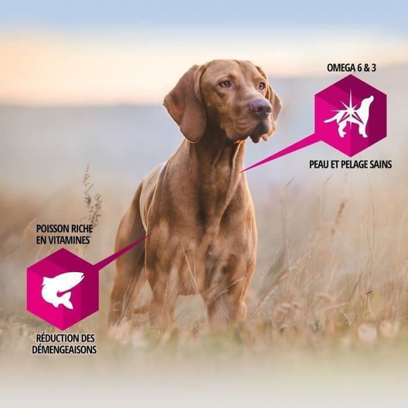 Eukanuba Croquettes Au Poulet Daily Care - Peau Sensible - Toutes Races - 2,3kg - Pour Chien Adulte