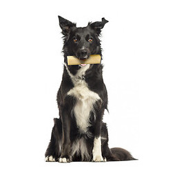 Friandise Au Fromage 57 Gr. Pour Chien De Moins De 10 Kg . - Zolux - Zo-482311