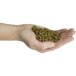 Felinity Croquettes Indoor Femelle Par Demavic - 1,5 Kg - Pour Chat