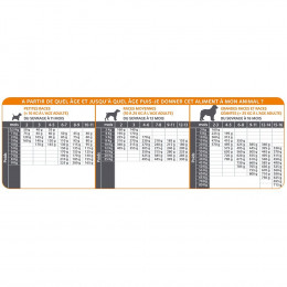 Croquettes Chiot 12 Kg - Mastery - Ma-482221