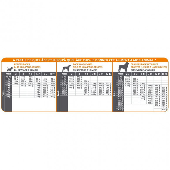 Croquettes Chiot 12 Kg - Mastery - Ma-482221