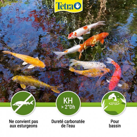 Tetra Pond Algorem 3 L - Pour Aquarium