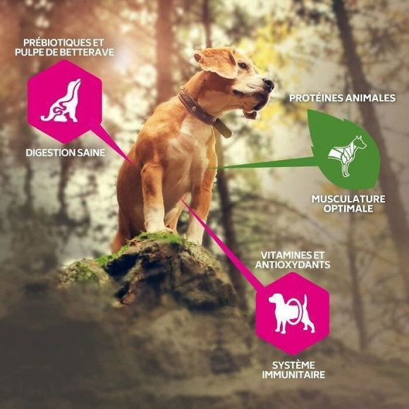 Eukanuba Grain Free Croquettes Sans Cereales Pour Chiot - Saumon Frais - 10 Kg