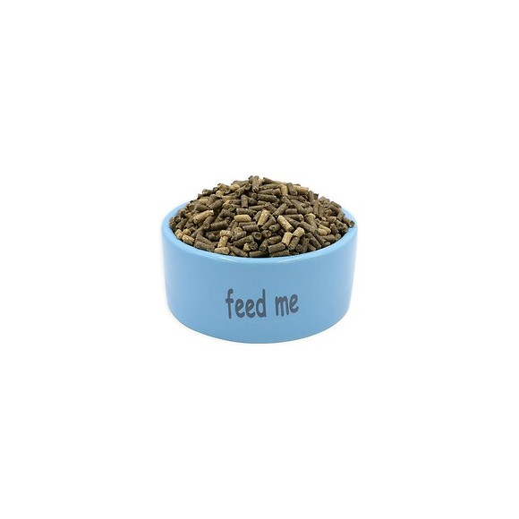 Tyrol Bol Incurvee En Ceramique - 200 Ml - Bleu - Pour Rongeur