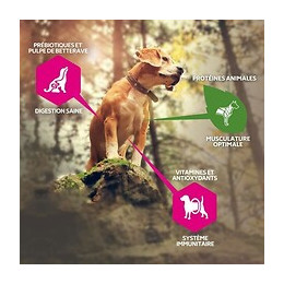 Eukanuba Grain Free Croquettes Sans Cereales Pour Chiot Adulte - Saumon Frais - 10kg