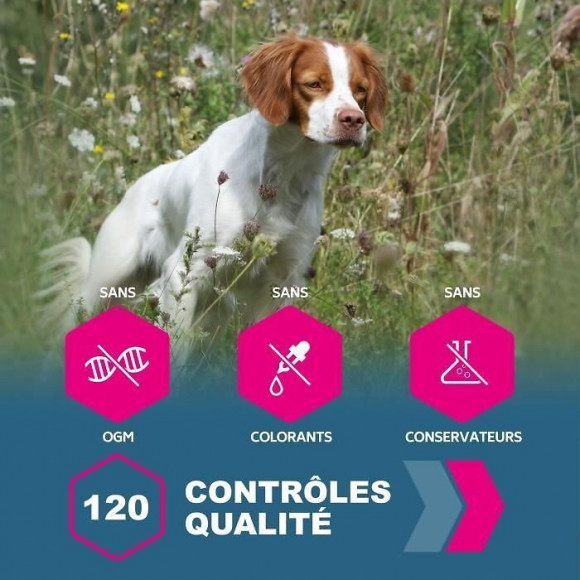 Eukanuba Grain Free Croquettes Sans Cereales Pour Chiot Adulte - Saumon Frais - 10kg