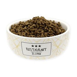 Tyrol Gamelle En Ceramique 12 Cm - 250 Ml - Blanc Et Moutarde - Pour Petit Chien Et Chat