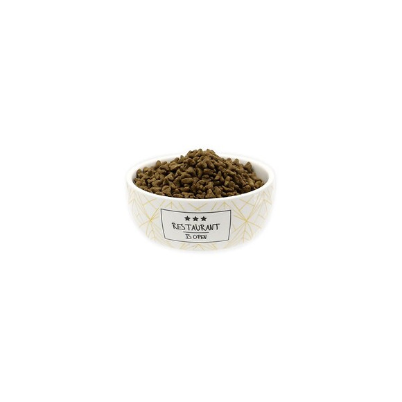 Tyrol Gamelle En Ceramique 12 Cm - 250 Ml - Blanc Et Moutarde - Pour Petit Chien Et Chat