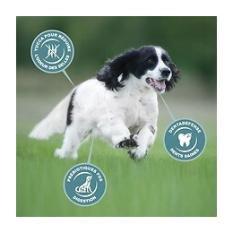 Eukanuba Croquettes Au Poulet - Race Moyenne - 15kg - Pour Chien Adulte