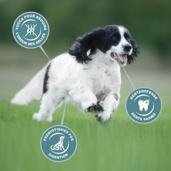 Eukanuba Croquettes Au Poulet - Race Moyenne - 15kg - Pour Chien Adulte