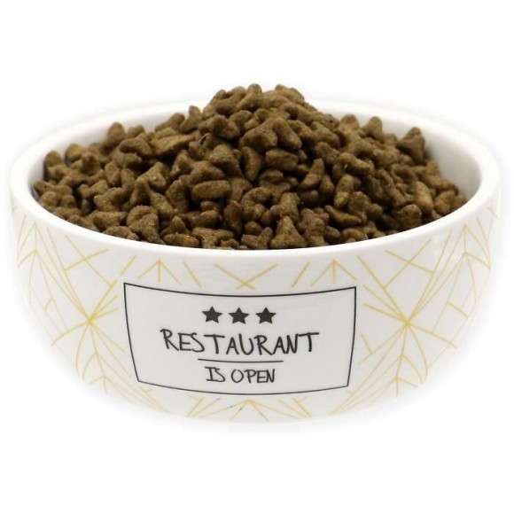 Tyrol Gamelle En Ceramique 12 Cm - 250 Ml - Blanc Et Moutarde - Pour Petit Chien Et Chat