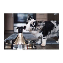 Petsafe Fontaine 360? - Inox - 3,8l