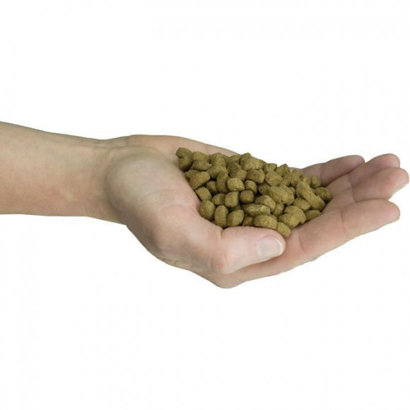 Felinity Croquettes Outdoor Femelle Par Demavic - 1,5 Kg - Pour Chat