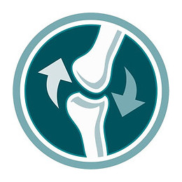 Purina One Croquettes Bifensis - Pour Chats Adultes - 9,75 Kg