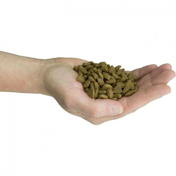 Felinity Croquettes Outdoor Male Par Demavic - 1,5 Kg - Pour Chat